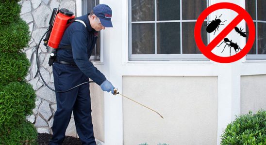 Kızılören Dezenfeksiyon böcek ilaçlama ve haşere kontrolü — ilaclama-tr.com